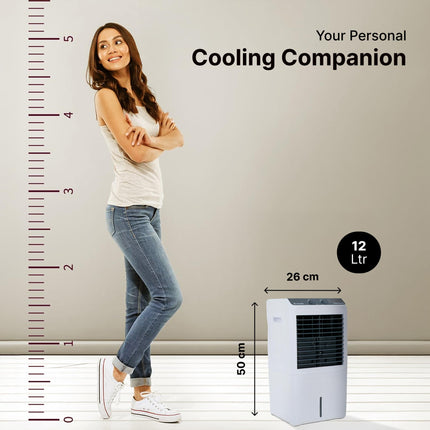 Candes 12 L Portable Mini Air Cooler for Desk, Pets | High Speed Blower, 3 Way Speed Control, Ice Chamber | Honey-comb Cooling Pads | 1 Year Warranty 