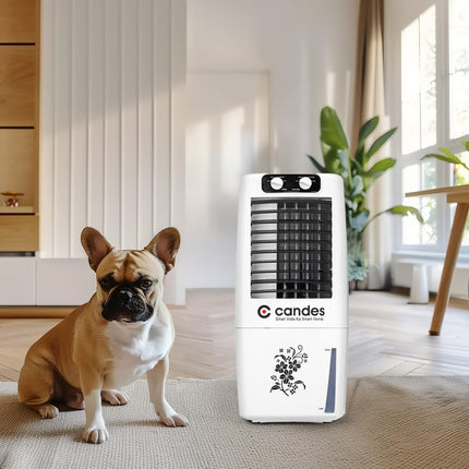 Candes 12 L Portable Mini Air Cooler for Home | High Speed Blower, 3 Way Speed Control, Ice Chamber | Inverter Compatible Air Cooler for Room Cooling with Honey-Comb Cooling Pads | 1 Year Warranty 