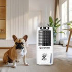Candes 12 L Portable Mini Air Cooler for Home | High Speed Blower, 3 Way Speed Control, Ice Chamber | Inverter Compatible Air Cooler for Room Cooling with Honey-Comb Cooling Pads | 1 Year Warranty 