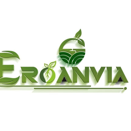 Eroanvia Avocado Frout Plant (Plant height 1.5-2.5 Feet) Butter Fruit - Plant Hybrid Hass Avocado Persea Americana Alligator Pear Butter Fruit Vena Ey Evokaido Phal Aveakkadea Phalam Rare Variety Tree 