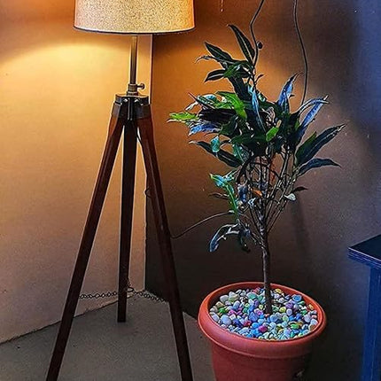 F N Finautica Wooden Italian Wooden Crafter Standard Size Tripod Floor Lamp with Jute Shade, Bulb and Holder, Pack of 1 LED 