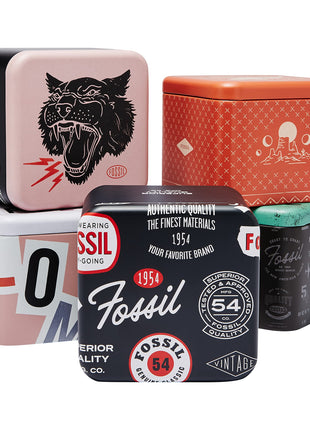 Fossil Analog White Dial Men's Watch-FS4795 Stainless Steel, Multicolor Strap 