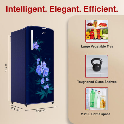 Godrej 180 L 4 Star Turbo Cooling Technology, 24 Days Farm Freshness Direct Cool Single Door Refrigerator (2024 Model, RD EDGENEO 207D THF MP BL, Maple Blue) 