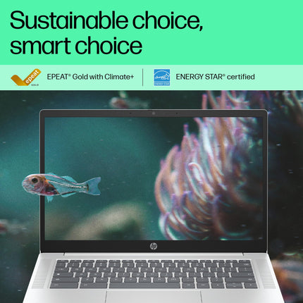 HP Chromebook 14, Chrome OS, Intel Processor N100, Chromeos, 14-Inch (35.6 Cm),Hd, 4Gb LpDDR5,64GB Emmc, Intel UHD Graphics, 720P HD Camera W/Privacy Shutter, Thin & Light (Silver, 1.45 Kg), Nf0014Tu 