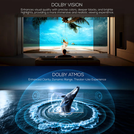 Haier 139 cm (55 inches) QLED -Smart Google TV with Hands Free Voice Control 55S800QT (Grey) 