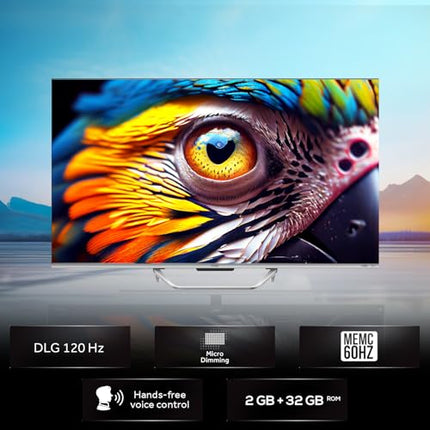 Haier 139 cm (55 inches) QLED -Smart Google TV with Hands Free Voice Control 55S800QT (Grey) 