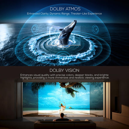 Haier 165 cm (65 inches) QLED -Smart Google TV with Hands Free Voice Control 65S800QT (Grey) 