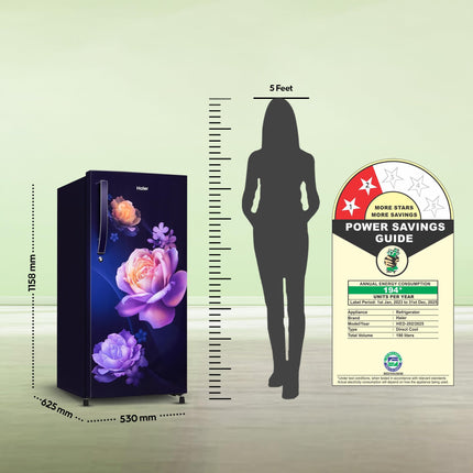 Haier 190 L, 2 Star, Direct-Cool Single Door Refrigerator (HED-202MN-P, Marine Noisettes) 