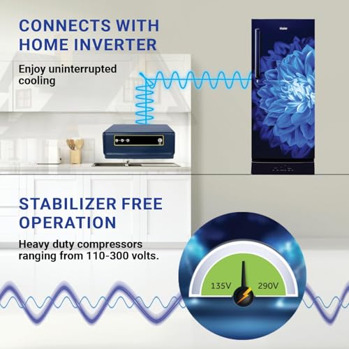 Haier 190 L, 5 Star, Direct-Cool Single Door Refrigerator (HED-205MDB-P, Marine Dahelia, Base Stand Drawer, 2024 Model) 