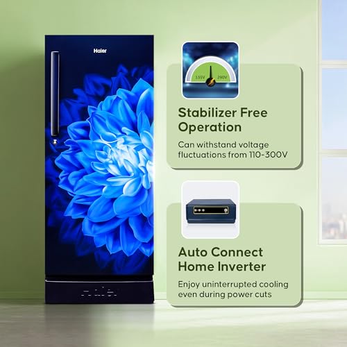 Haier 190 L, 5 Star, Direct-Cool Single Door Refrigerator (HED-205MDB-P, Marine Dahelia, Base Stand Drawer) 