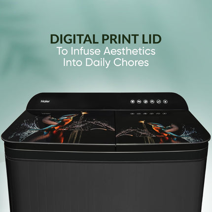 Haier 9 kg 5 Star Toughened Glass & Vortex pulsator Semi Automatic Top Load (HTW90-178FL,Black) 