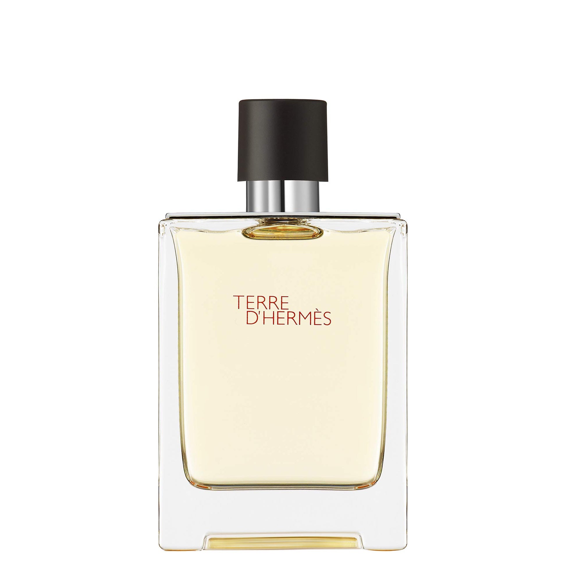 Hermès Terre d'Hermès Eau de Toilette 100ml 