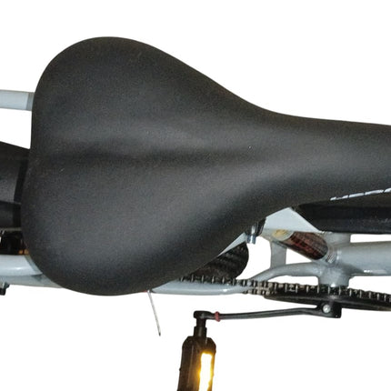 Hero Next 2.O Ranger 24T Bicycle | Single Speed, IBC Carrier, Power Brak, Lock, Bell | Tire Size 2.4 | 90% Assembled Cycle | Girls Boys | Grey 