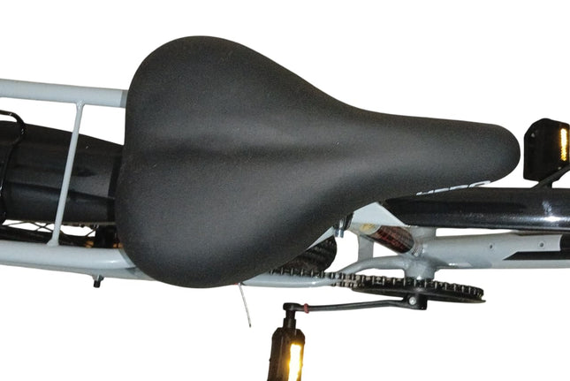 Hero Next 2.O Ranger 24T Bicycle | Single Speed, IBC Carrier, Power Brak, Lock, Bell | Tire Size 2.4 | 90% Assembled Cycle | Girls Boys | Grey 