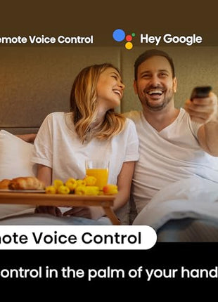 Hisense 108 cm (43 inches) E43N Series Full HD Smart Google LED TV 43E43N (Black) 