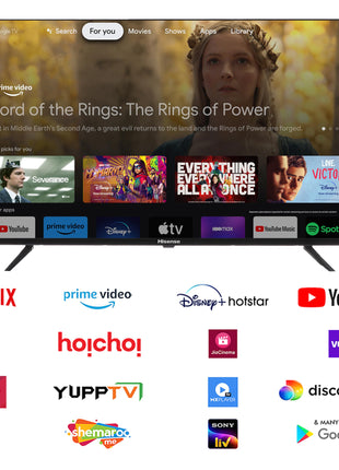 Hisense 108 cm (43 inches) E43N Series Full HD Smart Google LED TV 43E43N (Black) 