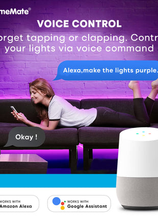 HomeMate Wi-Fi Multicolour Smart LED Strip Kit | 5 Meters | Music Sync Feature | No Hub Required | Works with Amazon Alexa, Google Home & Siri (RGB 5 Meter Kit with Built-in Mic Controller) 