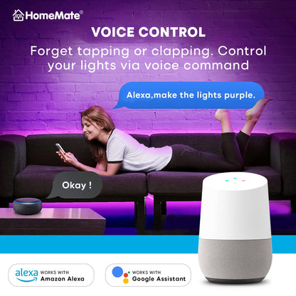 HomeMate Wi-Fi Multicolour Smart LED Strip Kit | 5 Meters | Music Sync Feature | No Hub Required | Works with Amazon Alexa, Google Home & Siri (RGB 5 Meter Kit with Built-in Mic Controller) 