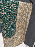 Bridal partywear fancy saree 