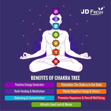 JD FRESH 300 Beads Crystal Tree/7 Chakra Crystal Tree/Showpiece Good Luck and Positive Energy/Showpiece for Living Room/Natural Healing Gemstones Money Tree/Lucky Tree for Good Luck (Multicolor) 