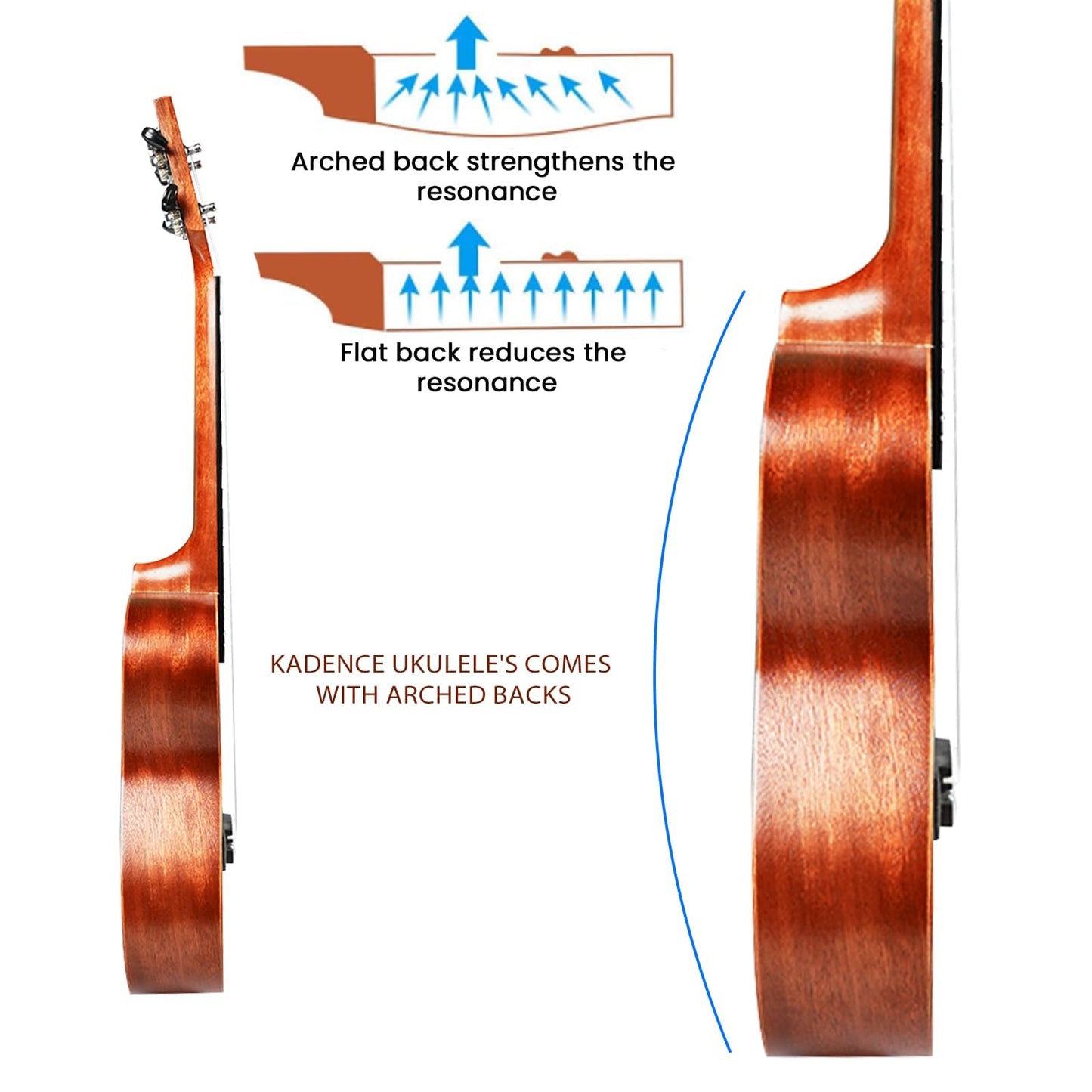 Kadence Concert Ukulele 23", Cinnamon Brown colour, fluorocarbon strings, matt finish with strap and bag (Spring Summer Collection of Ukuleles) 