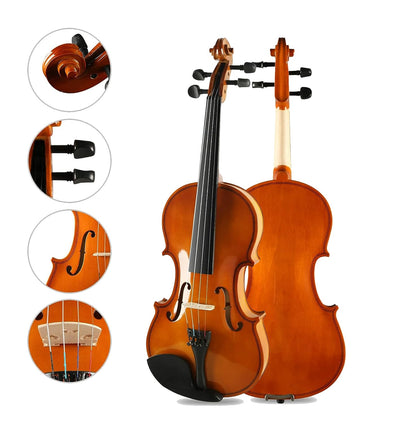 Kadence, Vivaldi 4/4 Violin With Bow, Rosin, Hard Case (Brown Glossy V001C) 