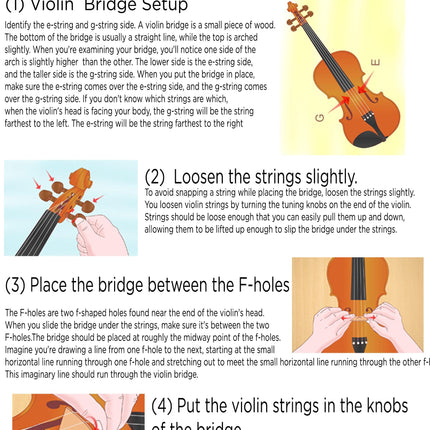 Kadence Vivaldi Acoustic Violin Full Size with Bow, Rosin, Carrying Hard Case,Instrument for Beginners, Adults, Boys, Girls, Children, Kids (4/4, Black) 