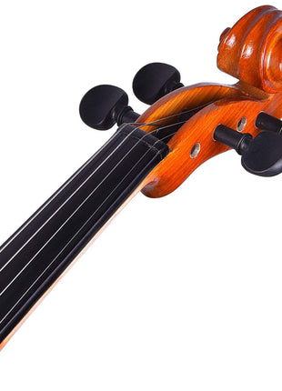 Kadence Vivaldi Violin VIV101 Solid Spruce Top, Maple Back (V101G) 