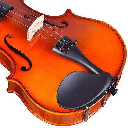 Kadence Vivaldi Violin VIV101 Solid Spruce Top, Maple Back (V101G) 