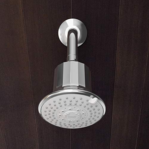 Kohler Rain Duet Filter Shower Head Five Spray Water Purifier Chrome Wall Mount 