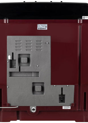 LG 11.5 kg, 5 Star, Roller Jet Pulsator with Soak, Wind Jet Dry Technology, Semi-Automatic Top Load Washing Machine (2025 Model, P115ASDAZ, Smart Filter & Rat Away feature) 