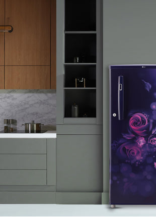 LG 185 L, 4 Star, Smart Inverter, Direct-Cool Single Door Refrigerator (GL-B199OBEY, Blue Euphoria, Smart Connect & Fast Ice Making) 