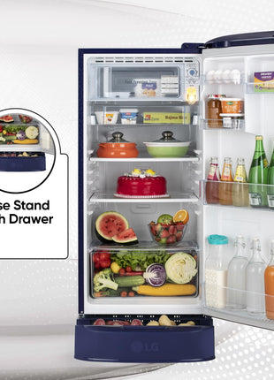 LG 185 L, 5 Star, Smart Inverter Compressor, Direct Cool Single Door Refrigerator (GL-D201ABIU.BBIZEBN, Blue ILAN, Moist N Fresh, Auto Smart Connect & Base Stand Drawer) 