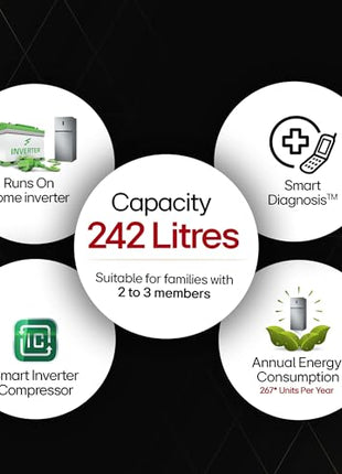 LG 242 L 2 Star Frost-Free Smart Inverter Double Door Refrigerator (GL-N292DPZY, Shiny Steel, Smart Connect & Multi Air Flow) 