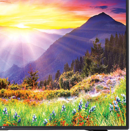 LG 43LH600T 108 cm (43 inches) Full HD LED Smart IPS TV (Black) 