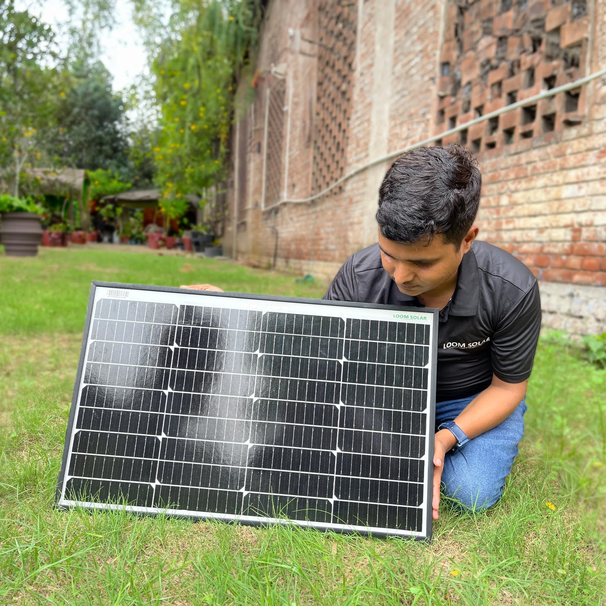 LOOM SOLAR Panel 55 WATT/12 V Mono PERC, Performance Warranty 25 Years 