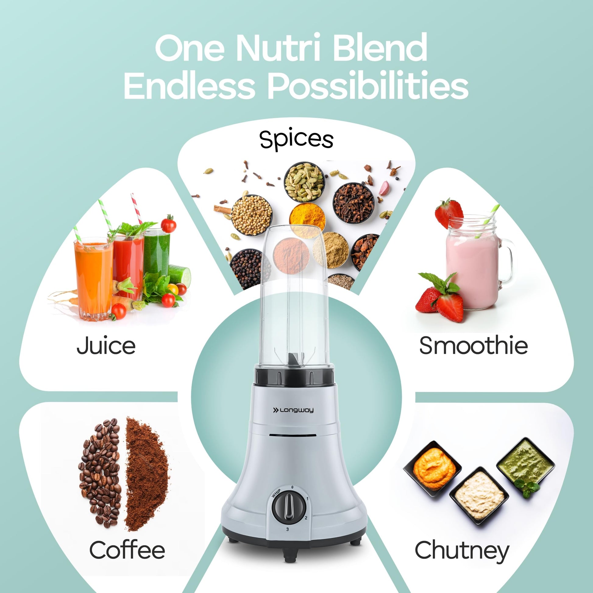 Longway Sage 500 Watt Juicer Mixer Grinder with 2 Jars for Grinding, Mixing, Juicing with Powerful Motor | 1 Year Warranty | (Gray & Black, 2 Jars) 