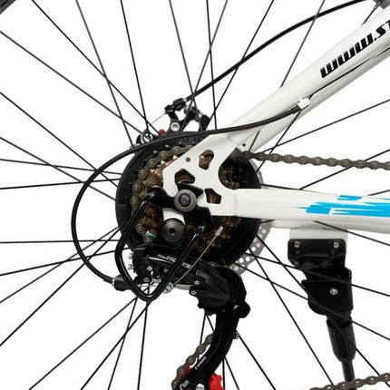 Mioox Fat Tyre Mountain Bike With 21 Speed Gears,26 * 4T Inch Wheels,Disk Brakes Cycle For Adults/Unisex (With Original Shimano Gears), Front, 18 Inches, White 