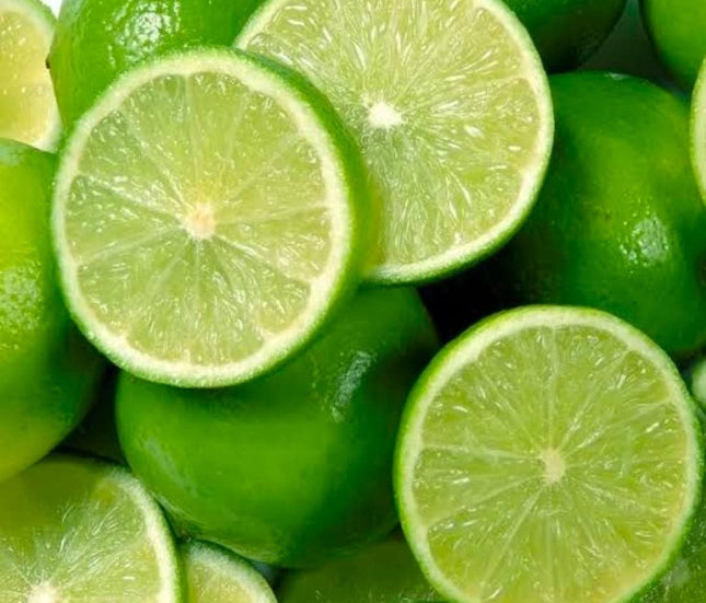 Natura GreenHouse 1 Live Thai All Time Lemon SeedLess Lemon Plant Nimbu Plant Lebu plant All time Hybrid Lemon tree Plant Height (1-1.5 Ft) 