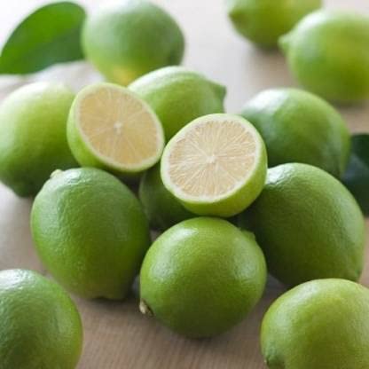 Natura GreenHouse 1 Live Thai All Time Lemon SeedLess Lemon Plant Nimbu Plant Lebu plant All time Hybrid Lemon tree Plant Height (1-1.5 Ft) 
