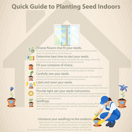 NooElec Seeds India 15 Seeds- Golden Shower Tree Seeds For Planting- Stunning Weeping Yellow Blooms 