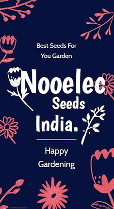 NooElec Seeds India 15 Seeds- Golden Shower Tree Seeds For Planting- Stunning Weeping Yellow Blooms 