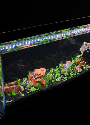 Parko Big Size Fish Tank Aqua Habitat Aquarium 24 Litre,9x9x18 Inches(Colour May Vary,)(Glass Tank ONLY) 