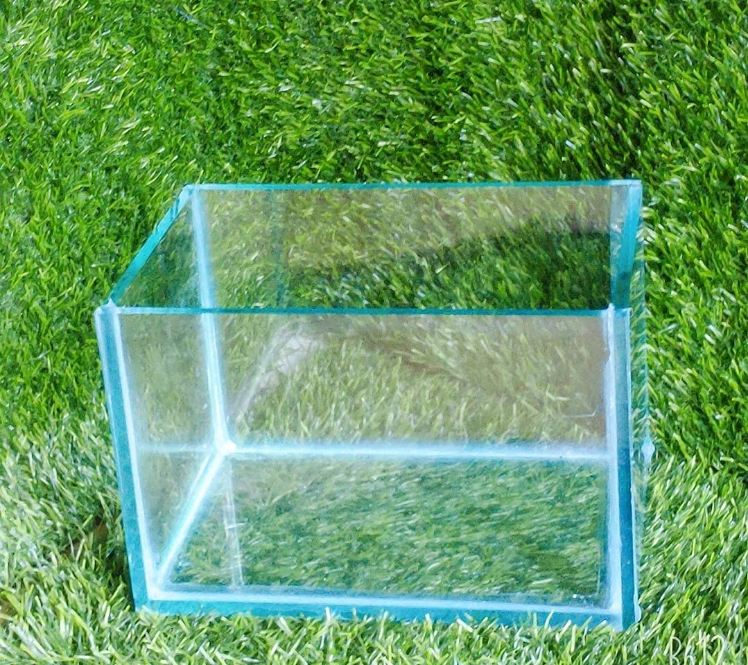 Parko Home Decoration Turtle Aquarium Tank Beautiful Fashion Clear Glass Mini Fish Tank Aqua Habitat Aquarium Tank Only Rust Resistant (Colour May Vary) (9x9x12 Inches) 15L 