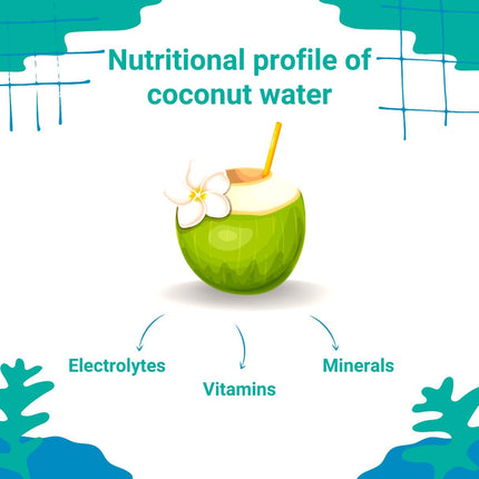 Paudha Store Coconut Tree Plant Dwarf Green Yellow (fruit After 2-3 Years) Hybrid Rare Healthy Live Plant For Home Garden Plant Height 1.5-3 Feet Size (Pack of 1 Live plant) 