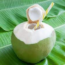 Paudha Store Coconut Tree Plant Dwarf Green Yellow (fruit After 2-3 Years) Hybrid Rare Healthy Live Plant For Home Garden Plant Height 1.5-3 Feet Size (Pack of 1 Live plant) 