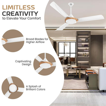 Polycab Superb Neo 1200mm Star Rated Ceiling Fan For Home | High Speed & Air Flow, 100% Copper | Rust-Proof Blades, 52 Watt, Saves up to 33% Electricity | 2 years warranty【Bronze Gold】 