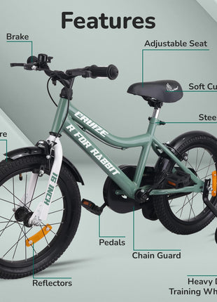 R for Rabbit Cruize Bicycle for Kids 16T Inch Cycle with Training Wheels for 4 to 7 Years Baby Boys & Girls of Upto 40 Kgs Weight Capacity - 90% Installed (Olive Green),Rigid 