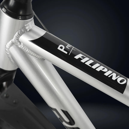 ROADGIANT Filipino 27.5T | MTB | Aluminum Alloy Frame Bicycle | Dual Disc Brakes | Single Speed | Front Suspension | Unisex | for All-Terrain Riding (Silver) 