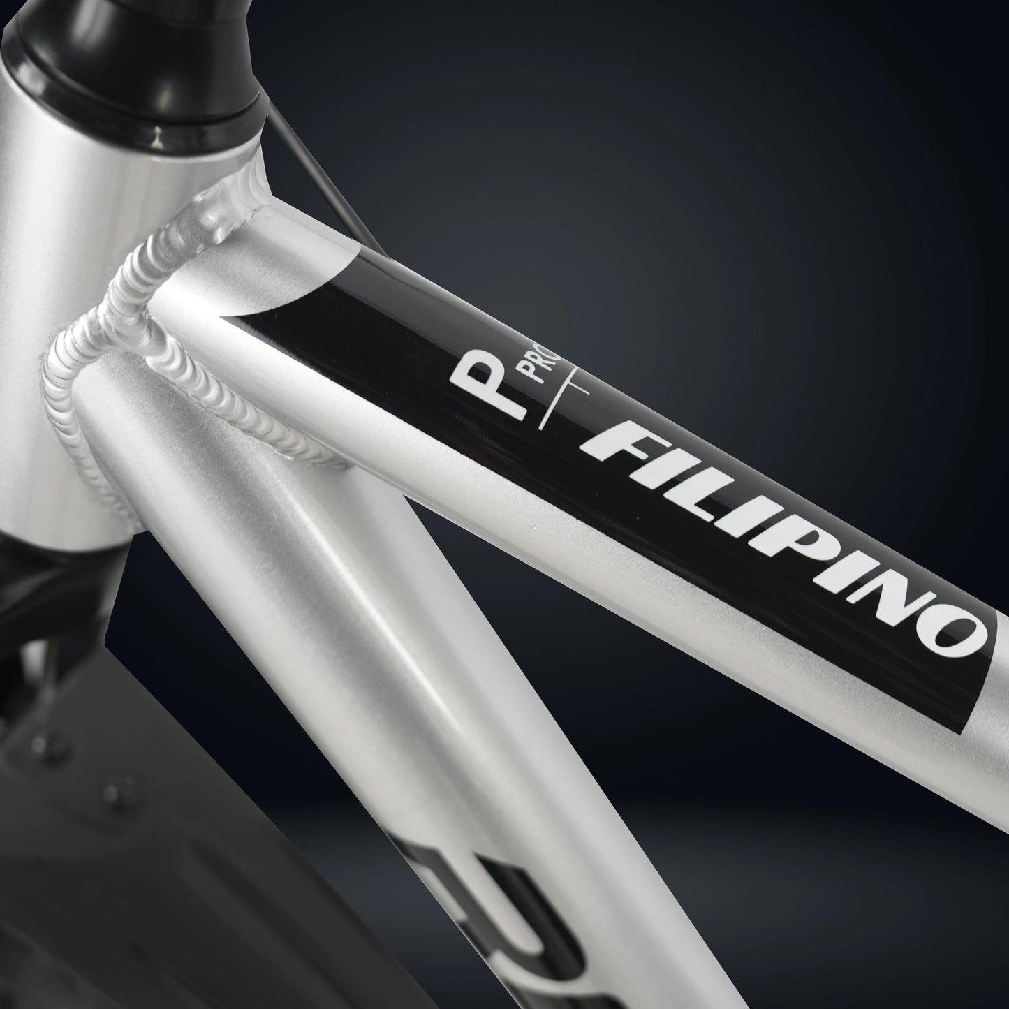 ROADGIANT Filipino 27.5T | MTB | Aluminum Alloy Frame Bicycle | Dual Disc Brakes | Single Speed | Front Suspension | Unisex | for All-Terrain Riding (Silver) 